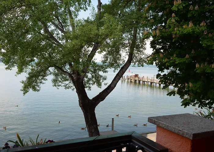 酒店 Seehotel Pegasus 3*