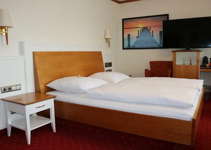 酒店 Seehotel Pegasus 3*