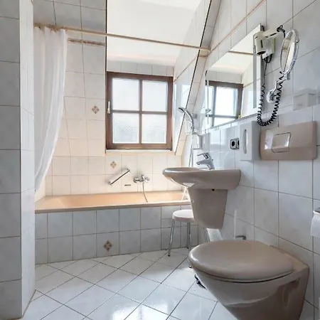 Seehotel Pegasus Отель 3*